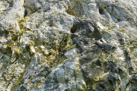 The Pavlov Hills, in Czech also Palava.  White limestone rocks,  flowers in rock. South Moravia, the Czech Republic, Europe.