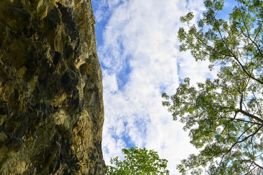 The Pavlov Hills, in Czech also Palava.  White limestone rocks,  flowers in rock. South Moravia, the Czech Republic, Europe.