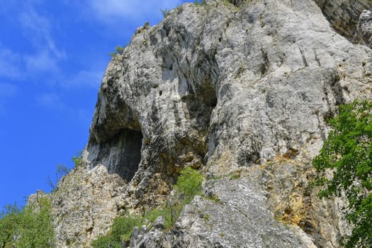 The Pavlov Hills, in Czech also Palava.  White limestone rocks,  flowers in rock. South Moravia, the Czech Republic, Europe.