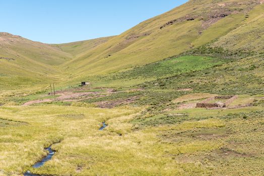 A farm landscape on Naudes Nek Pass in the Eastern Cape Province of South Africa. Cattle, sheep and a farm worker house are visible