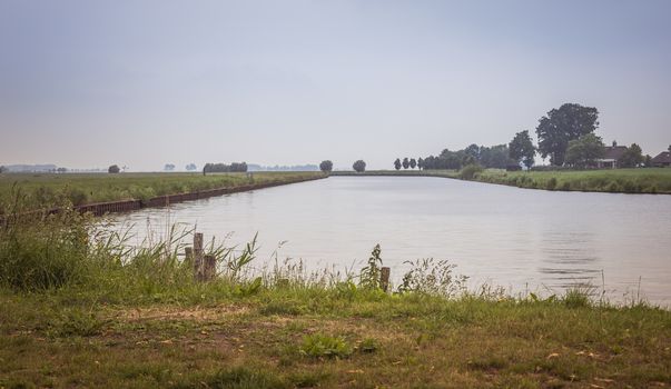 landscape in holland at the river Eem with trees at the horzion and grass in foreground