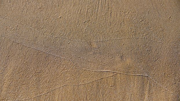 abstract background from the texture of sea sand and water