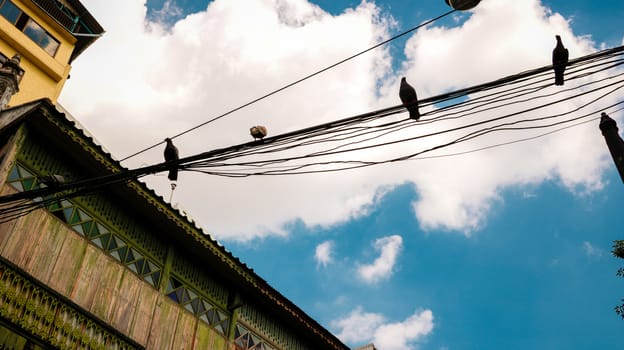 Ancient Wooden House with Birds on Electric Wires. Low Angle View. Bright Sunny Sky with Clouds.