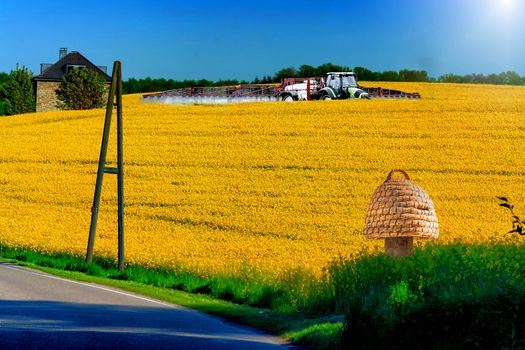 Old hives of straw in front of a blossoming farmer and tractor with sprayer spray rape field insecticide. Symbol for insect killing environmental protection.