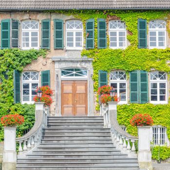 Building front with ivy overgrown. Natural thermal insulation and air conditioning.