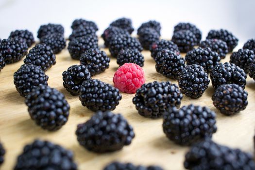 Tasty juicy berries set of many blackberries and one raspberry among them on wooden background