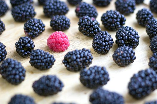 Tasty juicy berries set of many blackberries and one raspberry among them on wooden background