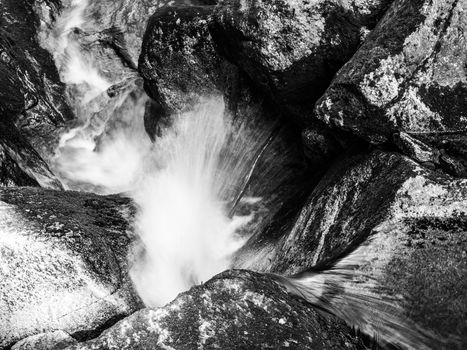 Water cascade of small creek between mossy stones. Long exposure Black and white image.