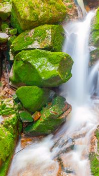 Water cascade of small creek between mossy stones. Long exposure