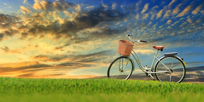 Bicycles on the green grass at sun rise