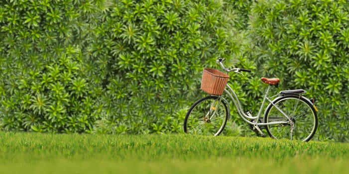 Bicycles on the green grass with green leaves wall background