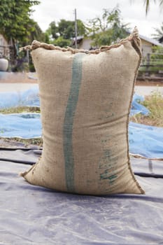 Farmer and paddy rice seed in a Burlap sack