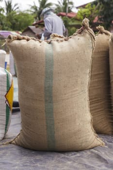 Farmer and paddy rice seed in a Burlap sack