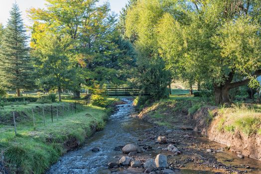 A stream with a pedestrian bridge in Rhodes, a small village in the Eastern Cape Province