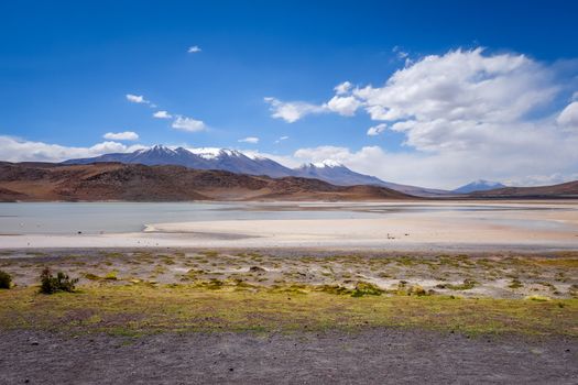 Laguna Honda in sud Lipez Altiplano reserva Eduardo Avaroa, Bolivia