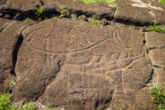 Petroglyphs on rocks in pacific ocean, easter island, Chile