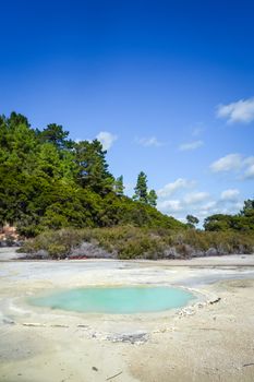 green lake in Waiotapu geothermal area, Rotorua, New Zealand