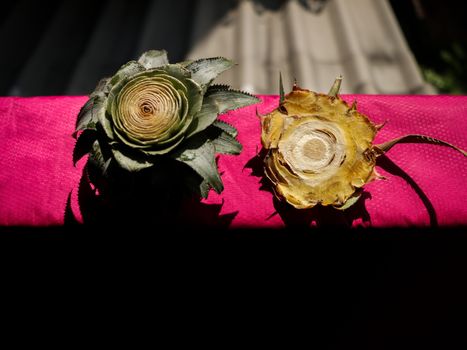 Cut Pineapple Head/ End on Bright Pink Plastic Mat/ Sheet in the Sun. Old Apartment Balcony with Corrugated Roof. Colorful Idea