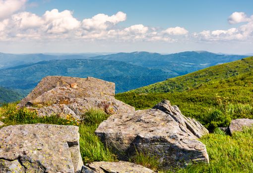 rocks on the edge of a grassy hillside. yellow dandelions among the rocks. beautiful nature scenery in mountains