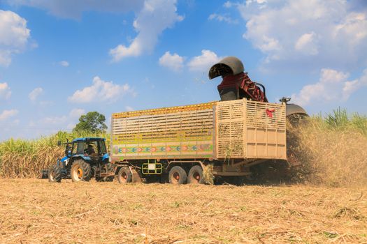 Sugarcane harvester machine