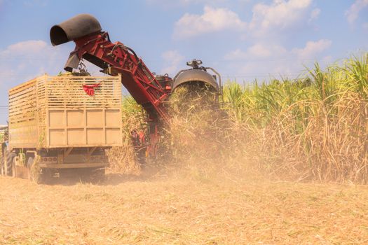 Sugarcane harvester machine