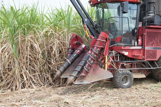 Sugarcane harvester machine