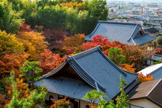 colourful autumn leaf and temple roof in Kyoto, Japan.