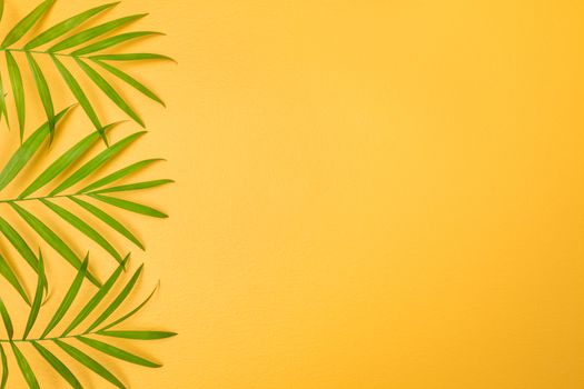 Green palm leaves on bright yellow background. Tropical summer theme.