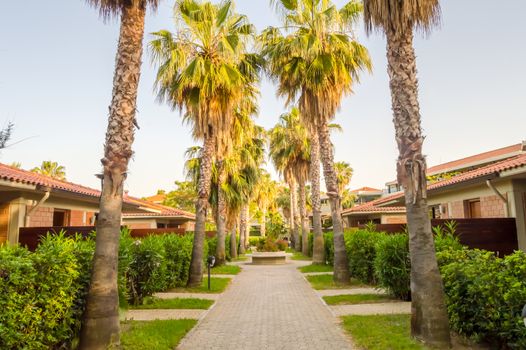 Bungalows lined with palm trees of Campofelice di Roccella in northern Sicily in Italy