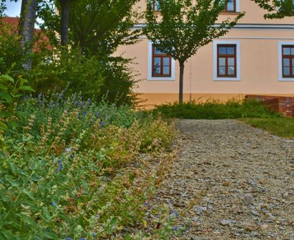 Urban gravel path. Soft colors. Flowers and building on background. Selective focus.