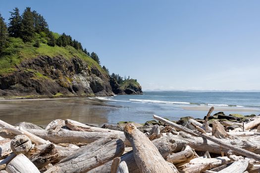 Driftwood at Waikiki Beach by Lighthouse at Cape Disappointment State Park in Washington State