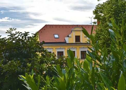 Urban historic background. Soft colors. Flowers and building on background. Selective focus.