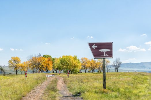 A roadside picnic spot at the top of the Kraai River Pass between Barkly East and Lady Grey in the Eastern Cape Province