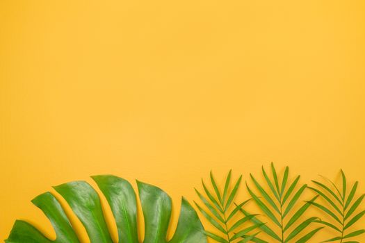 Palm tree leaves on vibrant yellow background. Tropical summer theme.