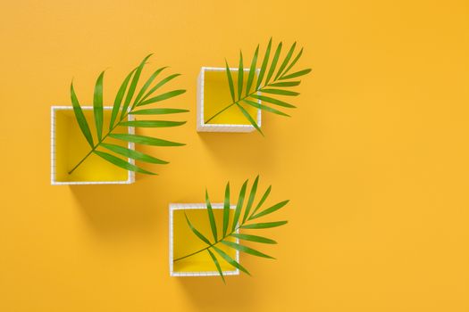 Palm tree leaves in white boxes on bright yellow background. Summer decor.