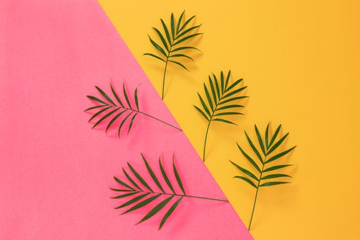 Palm leaves on vibrant pink and yellow background. Tropical summer background.
