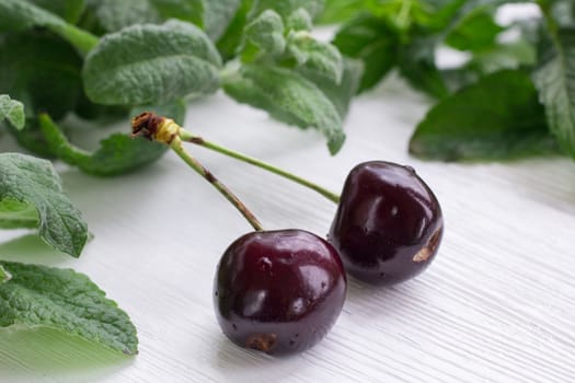 Vinous red cherries with green herbal mix of fresh mint and melissa herbs on white wooden background