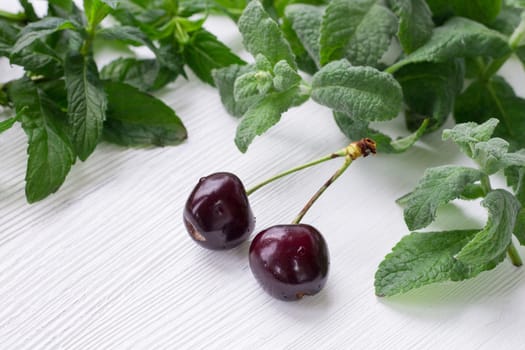 Vinous red cherries with green herbal mix of fresh mint and melissa herbs on white wooden background