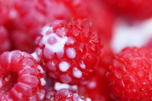 A background of ripe red raspberry with milk