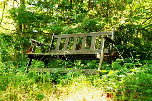 Old bench in the woods