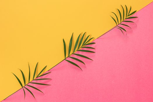 Palm leaves on colorful yellow and pink background. Tropical summer theme.