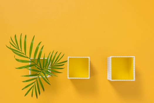 Palm tree leaves in boxes on bright yellow background. Summer decor.