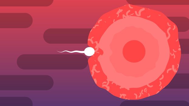 An amusing 3d rendering of a moving white spermatozoid with a waving tail in the violet and purple background with black tubes. It breaks through to the ovum.