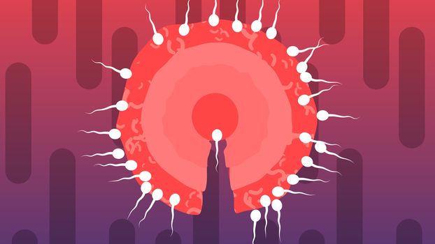A joyful 3d illustration of competing white spermatozoids encircling big red ovum from all sides in the violet and purple background. One of them breaks through to the center.