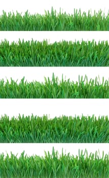 Green grass banners set. Nature background. Meadow. Spring, summer season. Plant growth 3d rendering