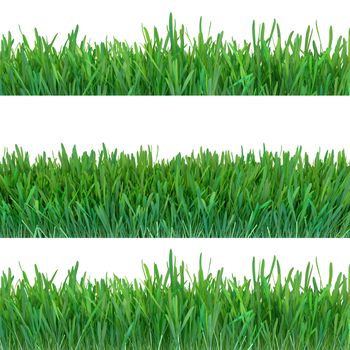 Green grass set. Nature background. Meadow. Spring, summer season. Plant growth 3d rendering