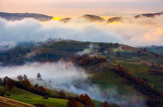 cloud inversion in autumn mountains at dawn. beautiful nature scenery. fog rolling above the rural fields