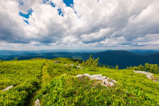 path along the grassy slope on top of a mountain. lovely summer landscape. wonderful place for hiking and camping. cloudy sky above the mountain ridge in the distance