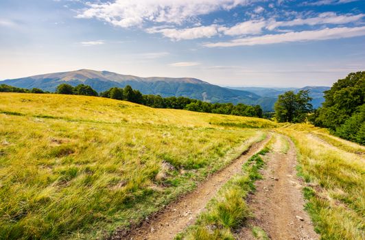 road through grassy meadow in mountains. beautiful summer landscape of Carpathians. Apetska mountain in the distance under the cloudy sky