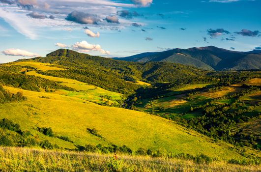 grassy hillsides in high mountains in afternoon. beautiful summer landscape with Borzhava mountain ridge in the distance